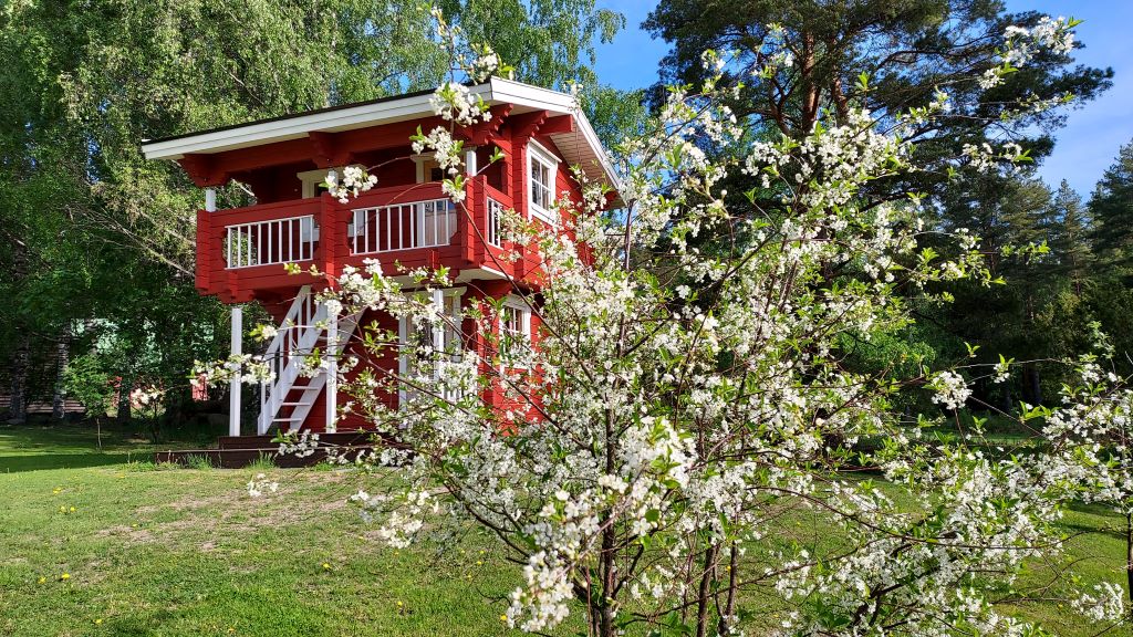 Luhtiaitta kesä